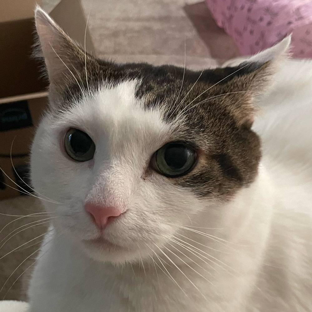 Meet your Posher, Emily